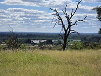 Mapungubwe N.P.