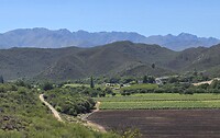 Omgeving Oudtshoorn