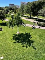 Jardín del Turia