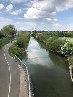 Maas 1