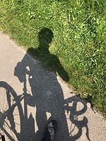 Schaduw Wim