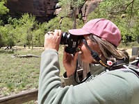 Foto van de Zion Valley