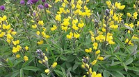 20180520_140948
