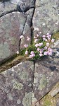 IMG-20180531-WA0009