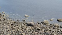 20180601_142300