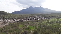 20180606_155300