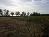 IMG_20181001_165025