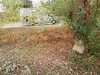 IMG_20181011_135355