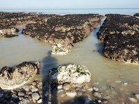 IMG_20181016_113458