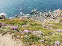 IMG_20190502_152241