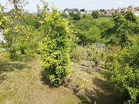 IMG_20190603_162626