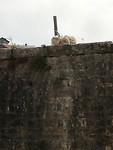 IMG_20190603_161821