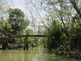 mekong delta