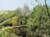 mekong delta