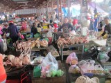 markt