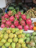 roze is drakenfruit