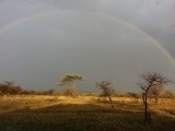 na regen komt regenboog