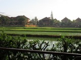 uitzicht vanaf terras