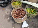 slangenfruit