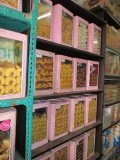 allemaal koekjes