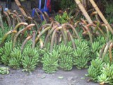 bananen