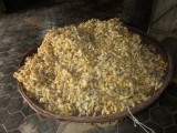 cocoons