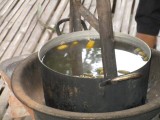 cocoons koken