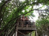 boomhut