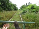 onderweg met bamboetrein