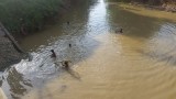 spelen in het water