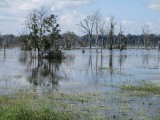 tempel op een eiland