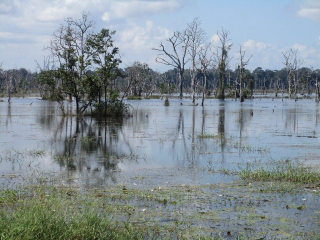 tempel op een eiland