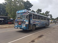 Lokale bus