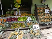 Vers fruit