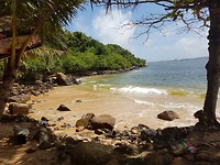 Jungle beach