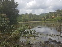 Prachtig meer