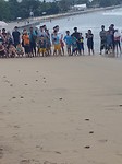 rennen schildpadjes