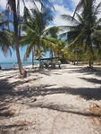 Paradijselijk