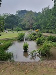 Tuin bij paleis Buitenzorg