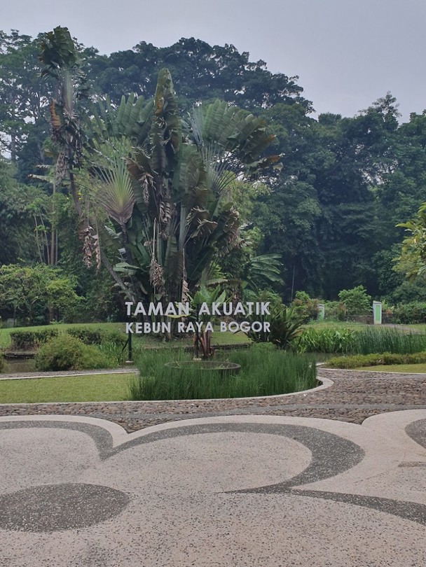 Botanische tuinen