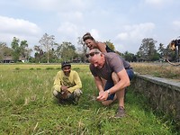 Gras snijden