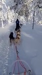 VID-20200218-WA0005