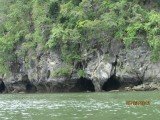Langkawi mangrovetoer
