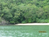 Langkawi mangrovetoer