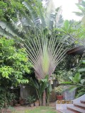 Langkawi
