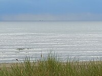 IMG-20230626-WA0001