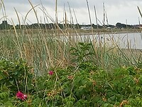 IMG-20230626-WA0002