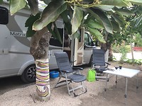360E23B0-7115-4CA0-8EB8-DDDC9FF27651
