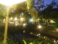 D586235D-043E-4E67-BB7B-C01C8A57F33A