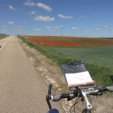 Live is een klaproosveld mooier!